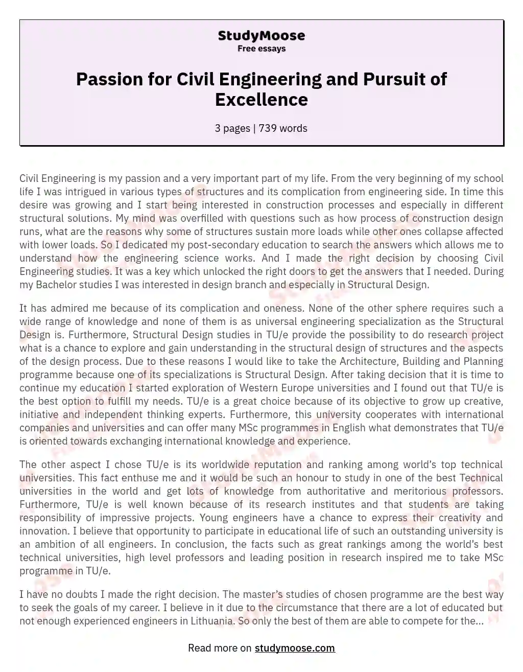 Passion for Civil Engineering and Pursuit of Excellence essay