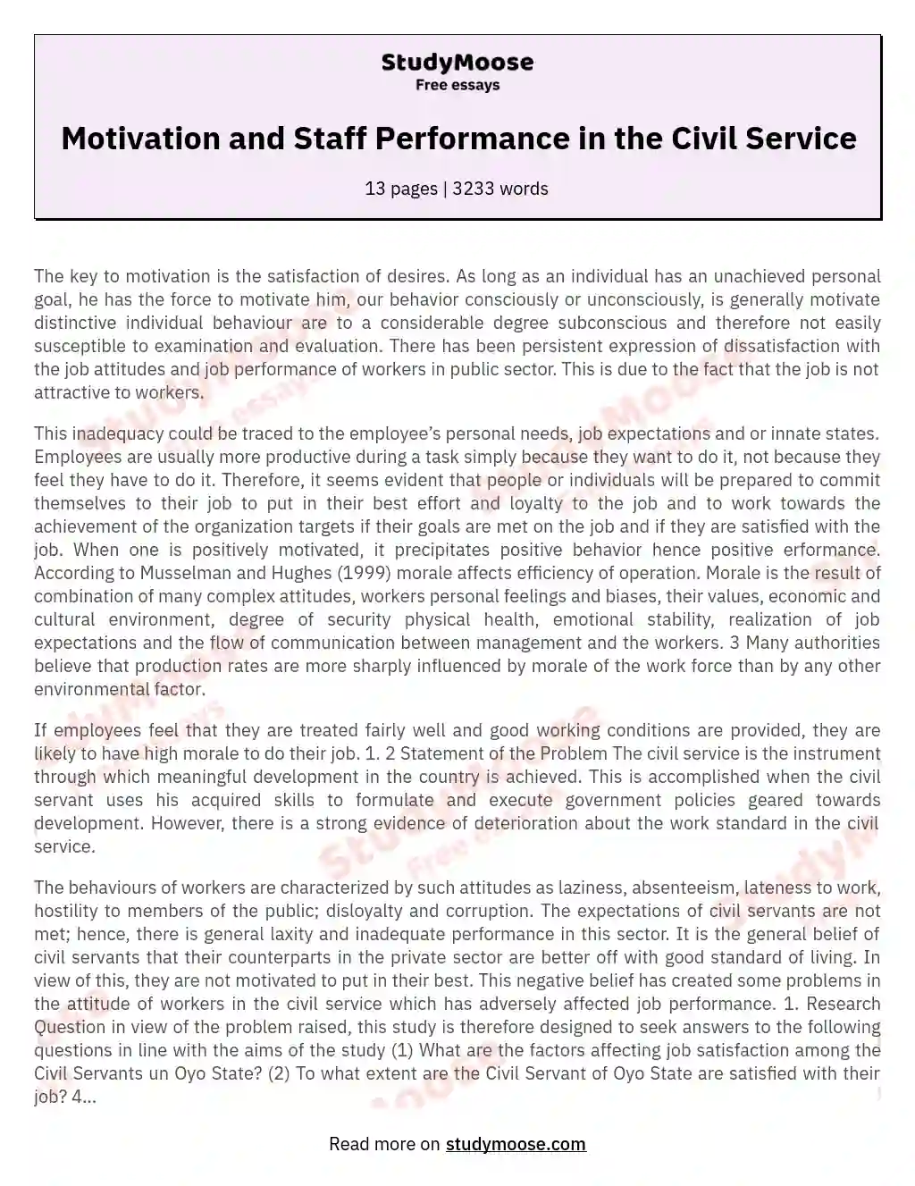 Motivation and Staff Performance in the Civil Service essay