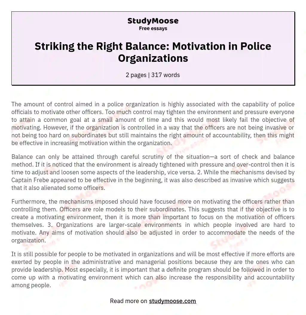 Striking the Right Balance: Motivation in Police Organizations essay