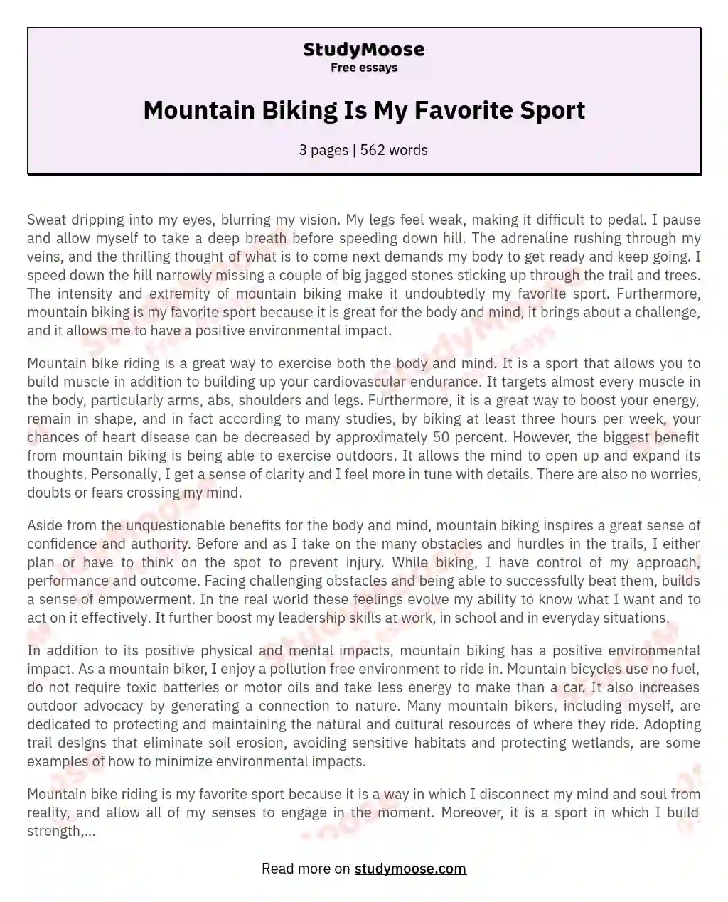 Mountain Biking Is My Favorite Sport essay
