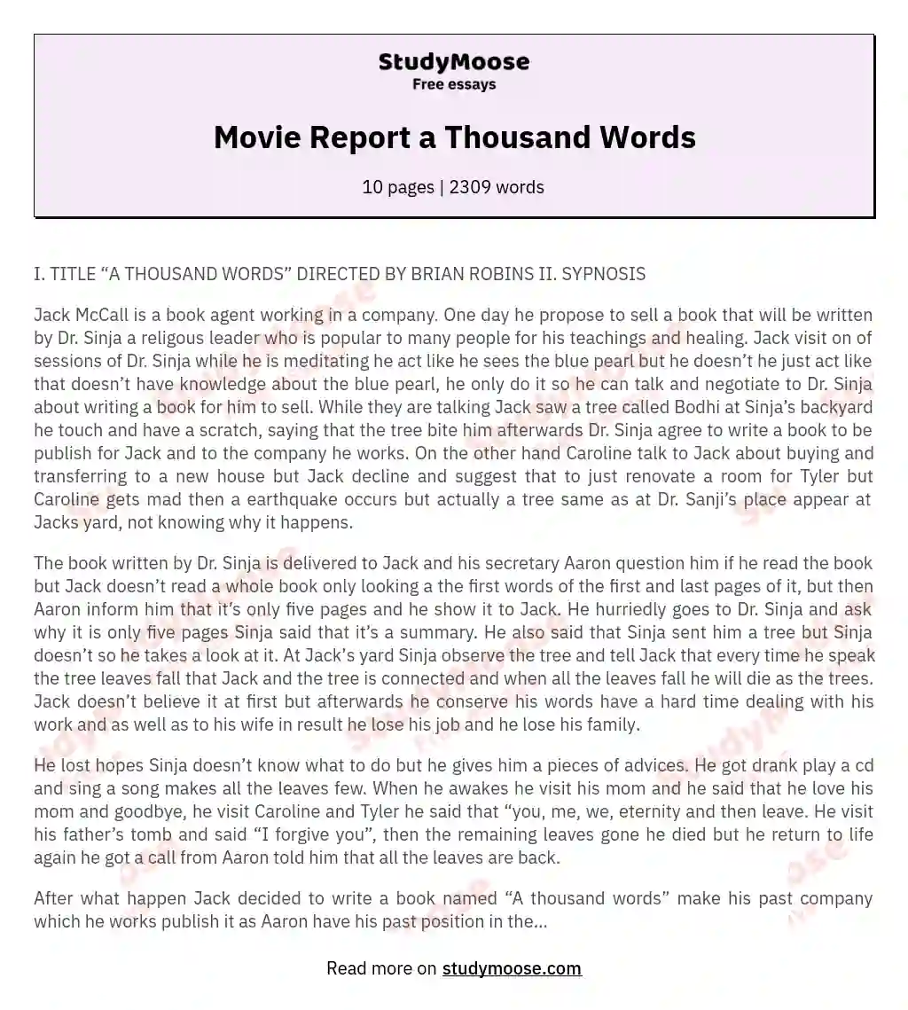 Movie Report a Thousand Words essay