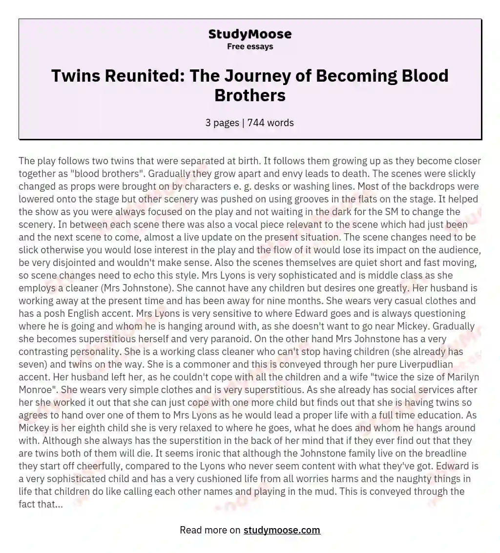 Twins Reunited: The Journey of Becoming Blood Brothers essay