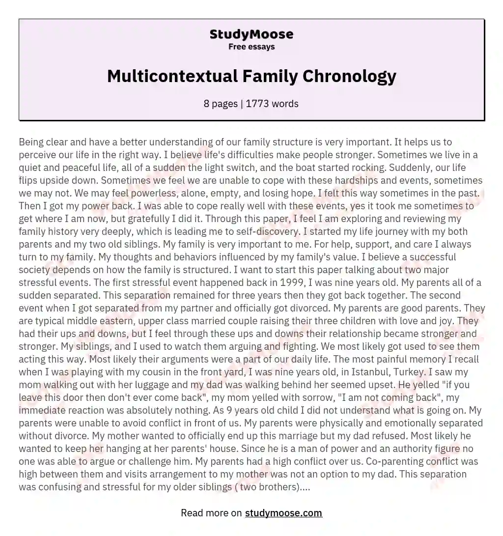 Multicontextual Family Chronology essay