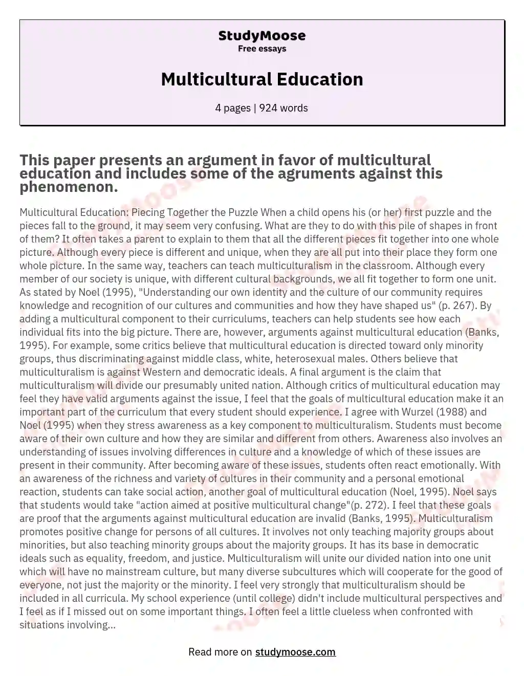 multicultural education reflection essay