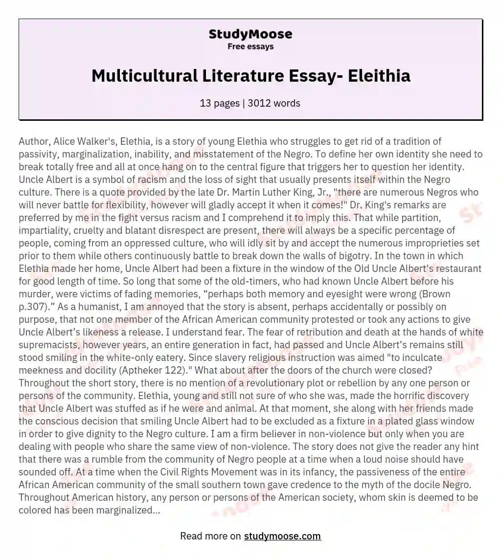 Multicultural Literature Essay- Eleithia essay