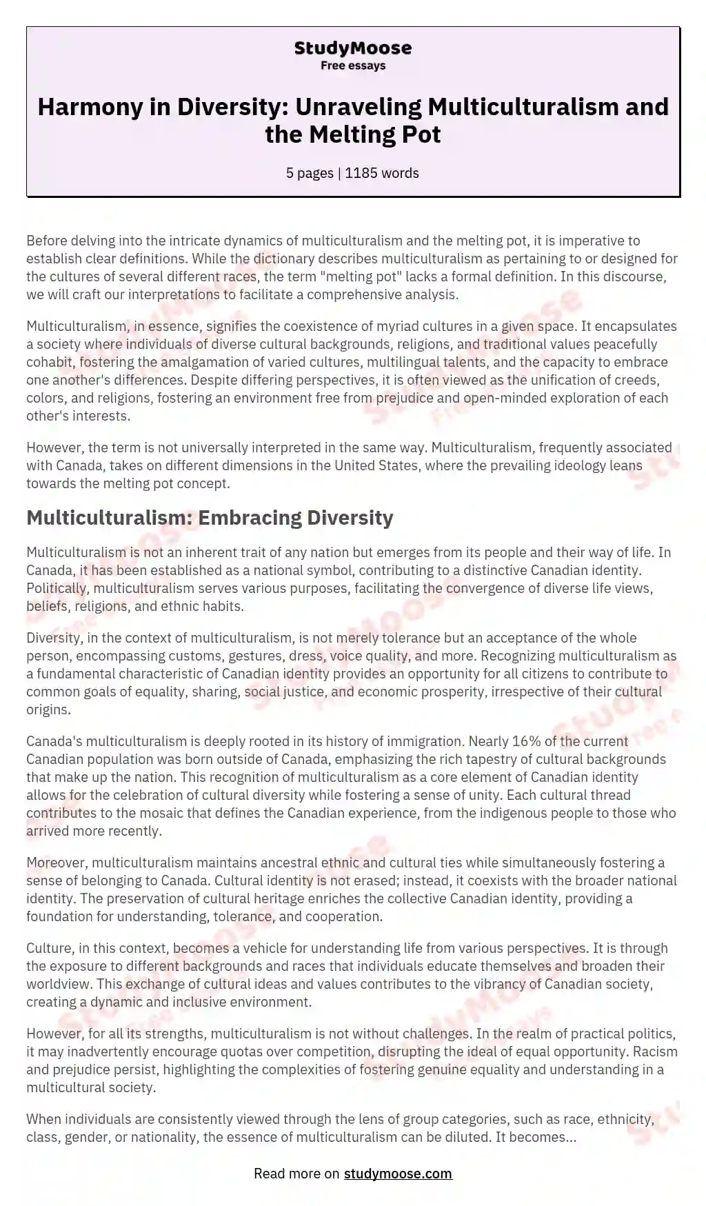 what is multiculturalism essay