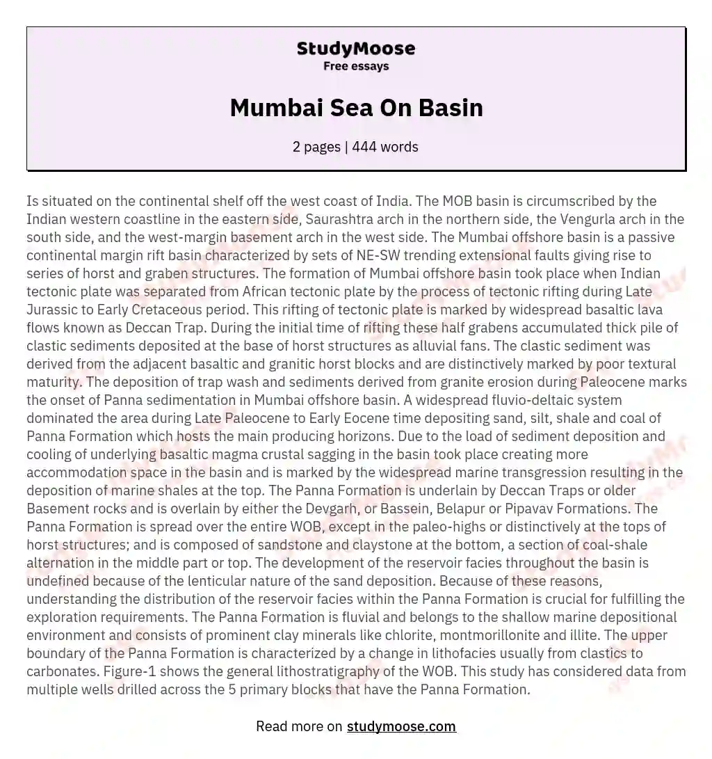 Mumbai Sea On Basin essay