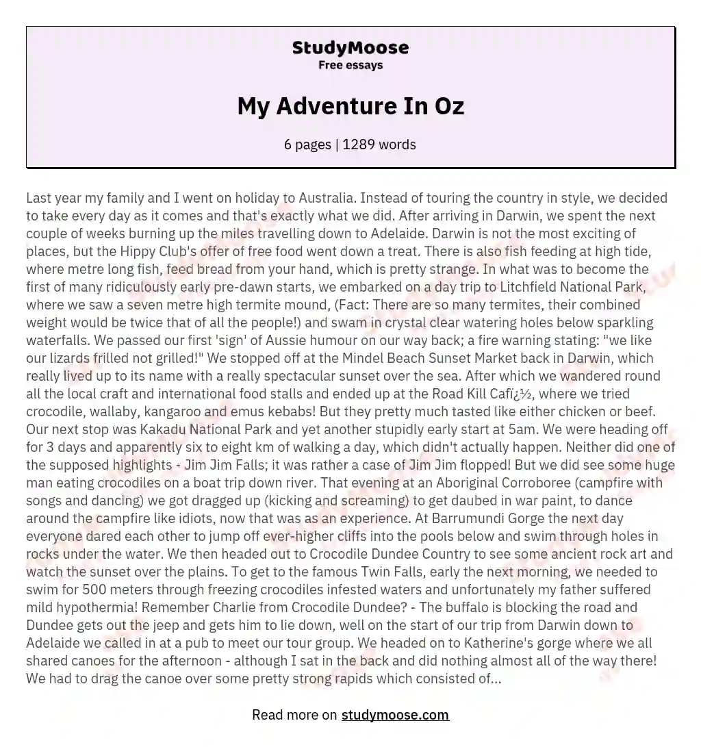 My Adventure In Oz essay