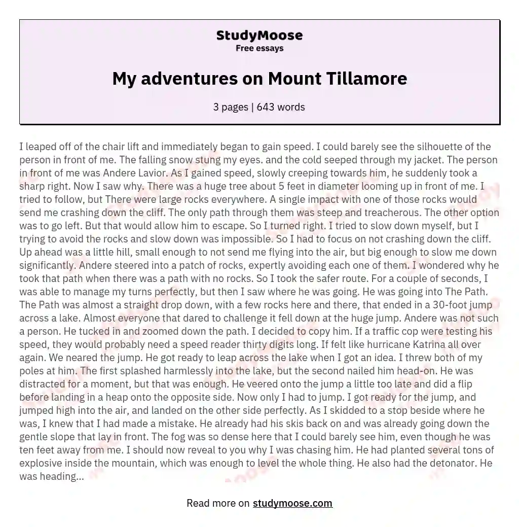 My adventures on Mount Tillamore essay