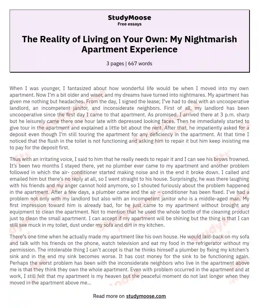 The Reality of Living on Your Own: My Nightmarish Apartment Experience essay