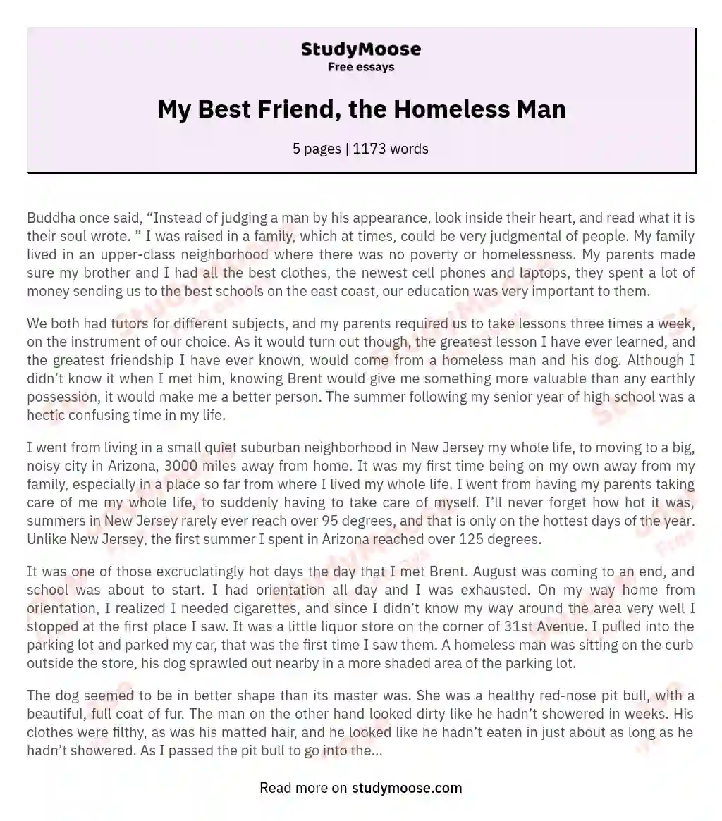 My Best Friend, the Homeless Man essay