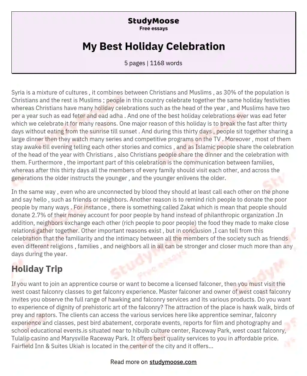 short essay memorable holiday