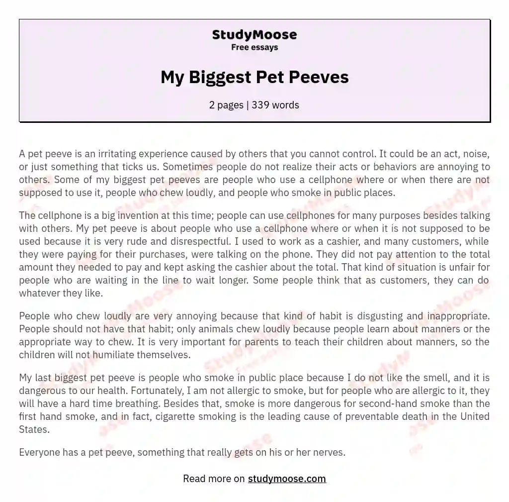 My Biggest Pet Peeves essay