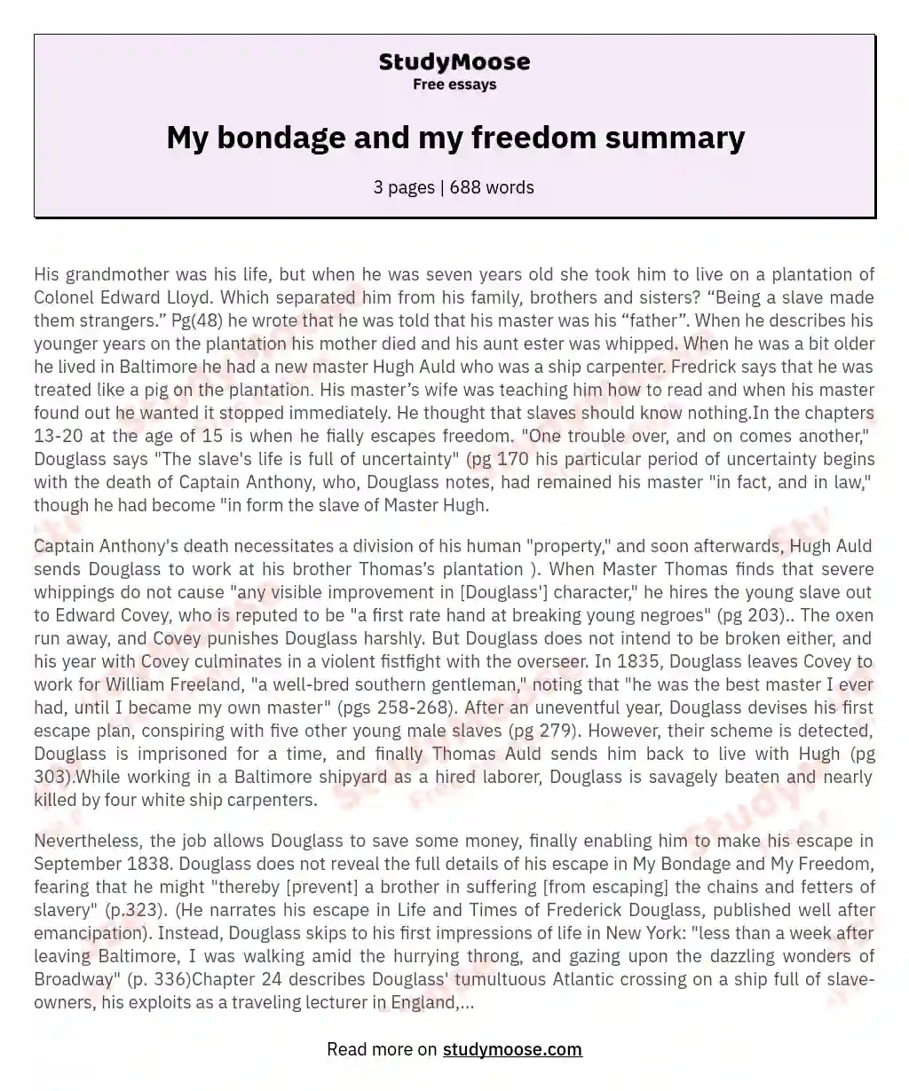 My bondage and my freedom summary essay