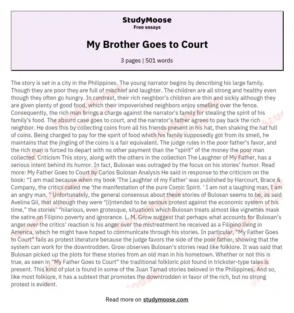 My Brother Goes to Court essay