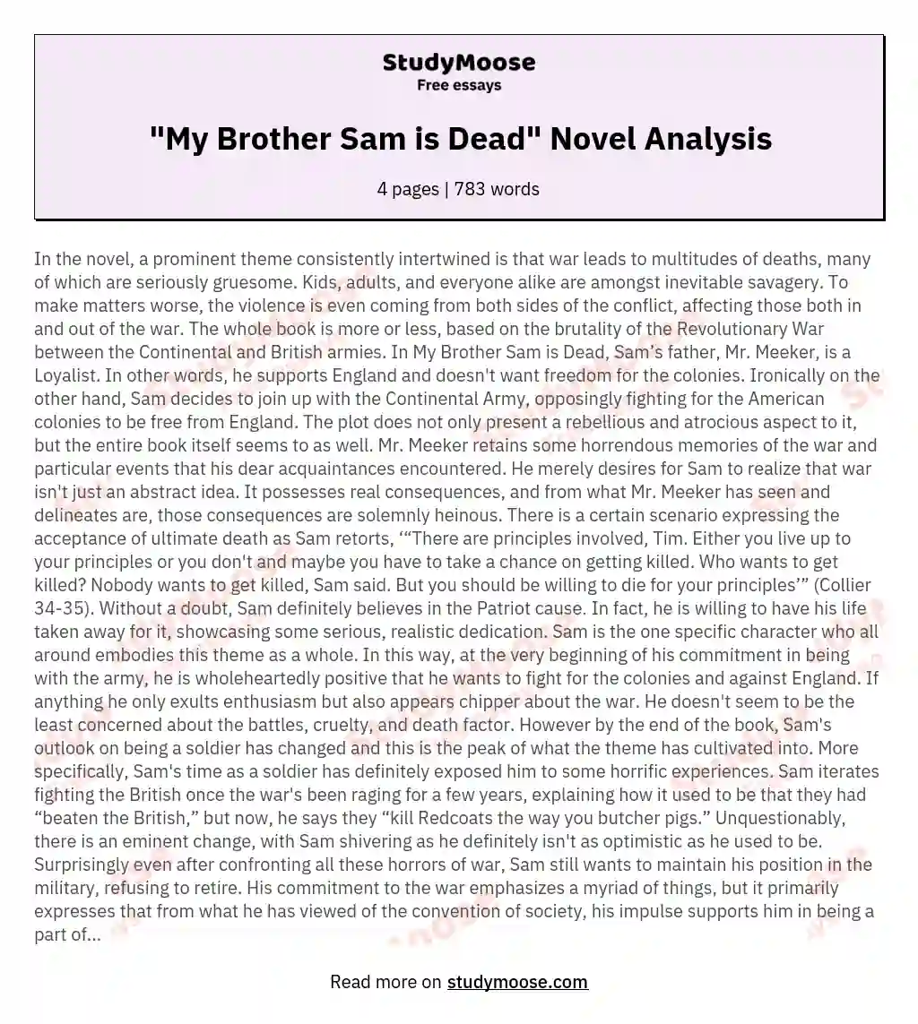 "My Brother Sam is Dead" Novel Analysis