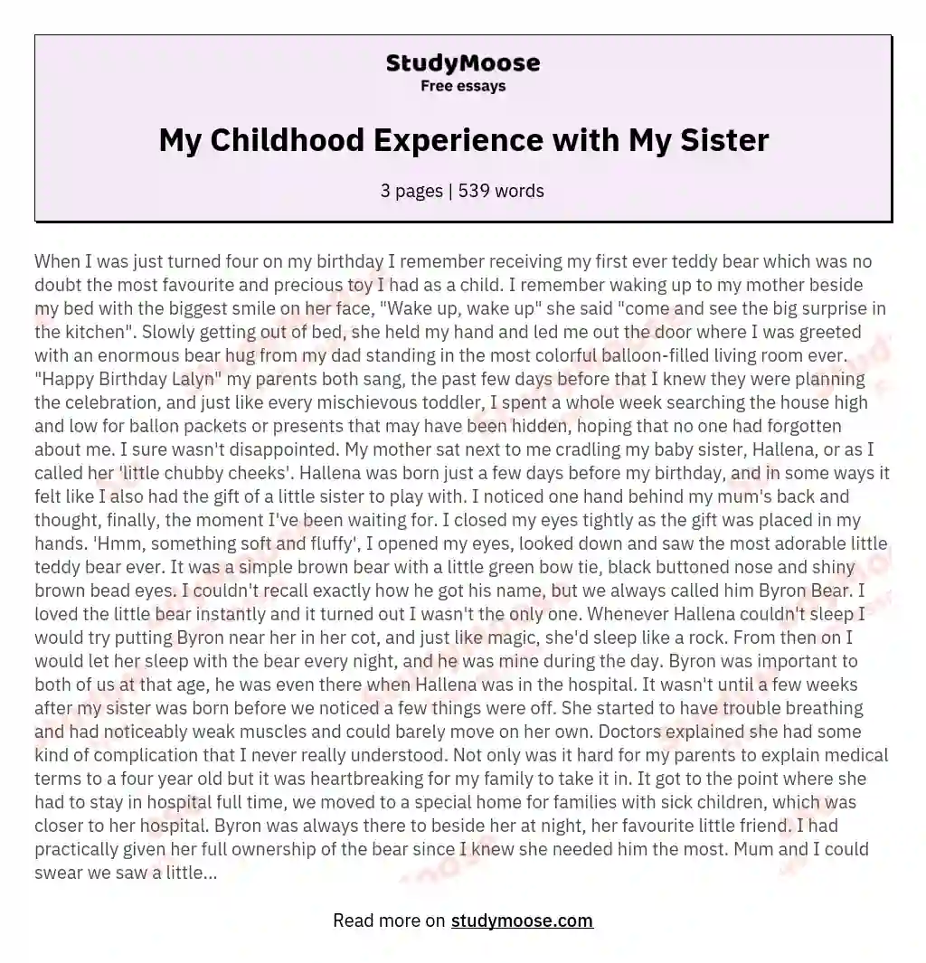 essay on sister