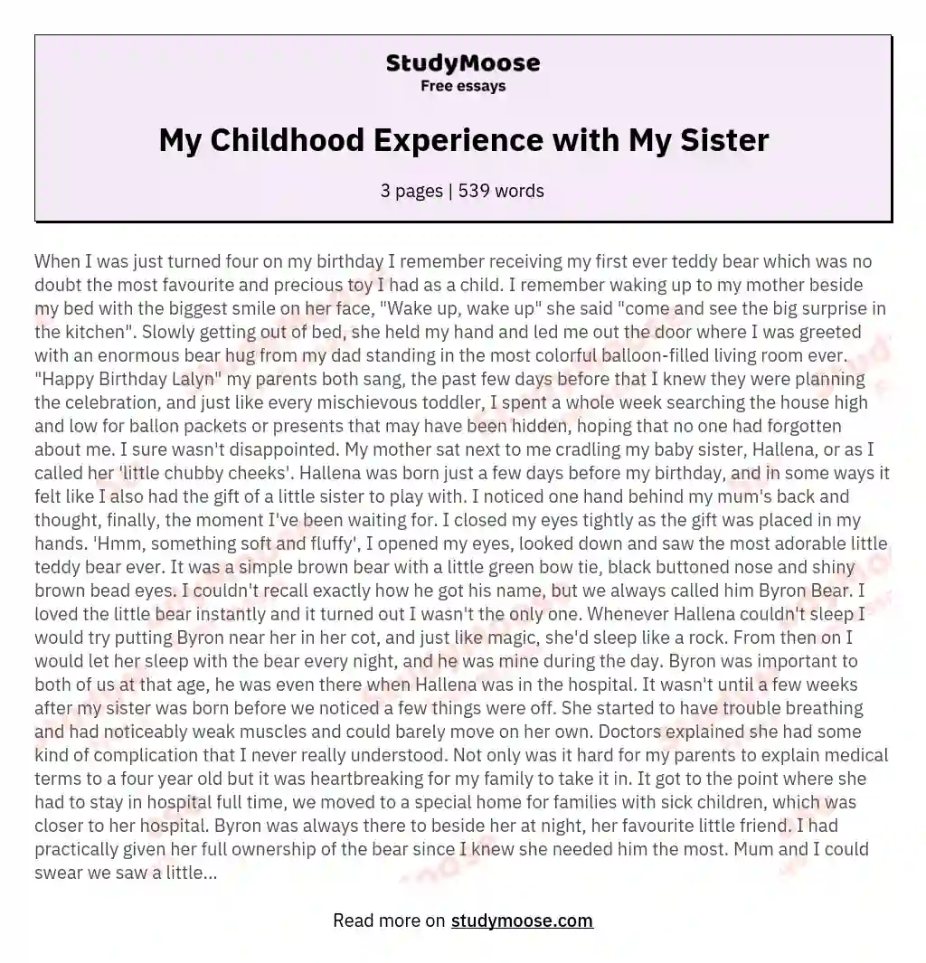 My Childhood Experience with My Sister essay