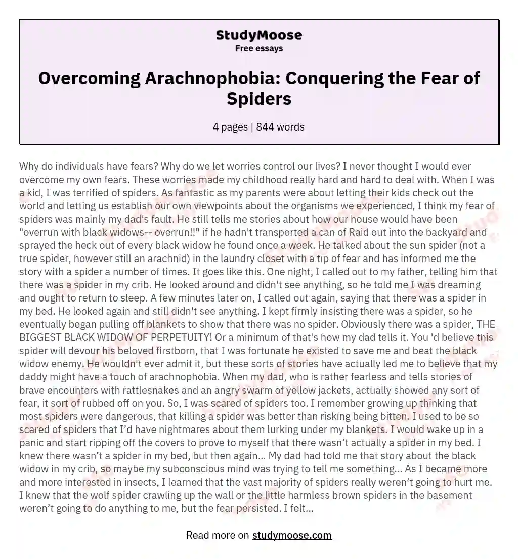 Overcoming Arachnophobia: Conquering the Fear of Spiders essay