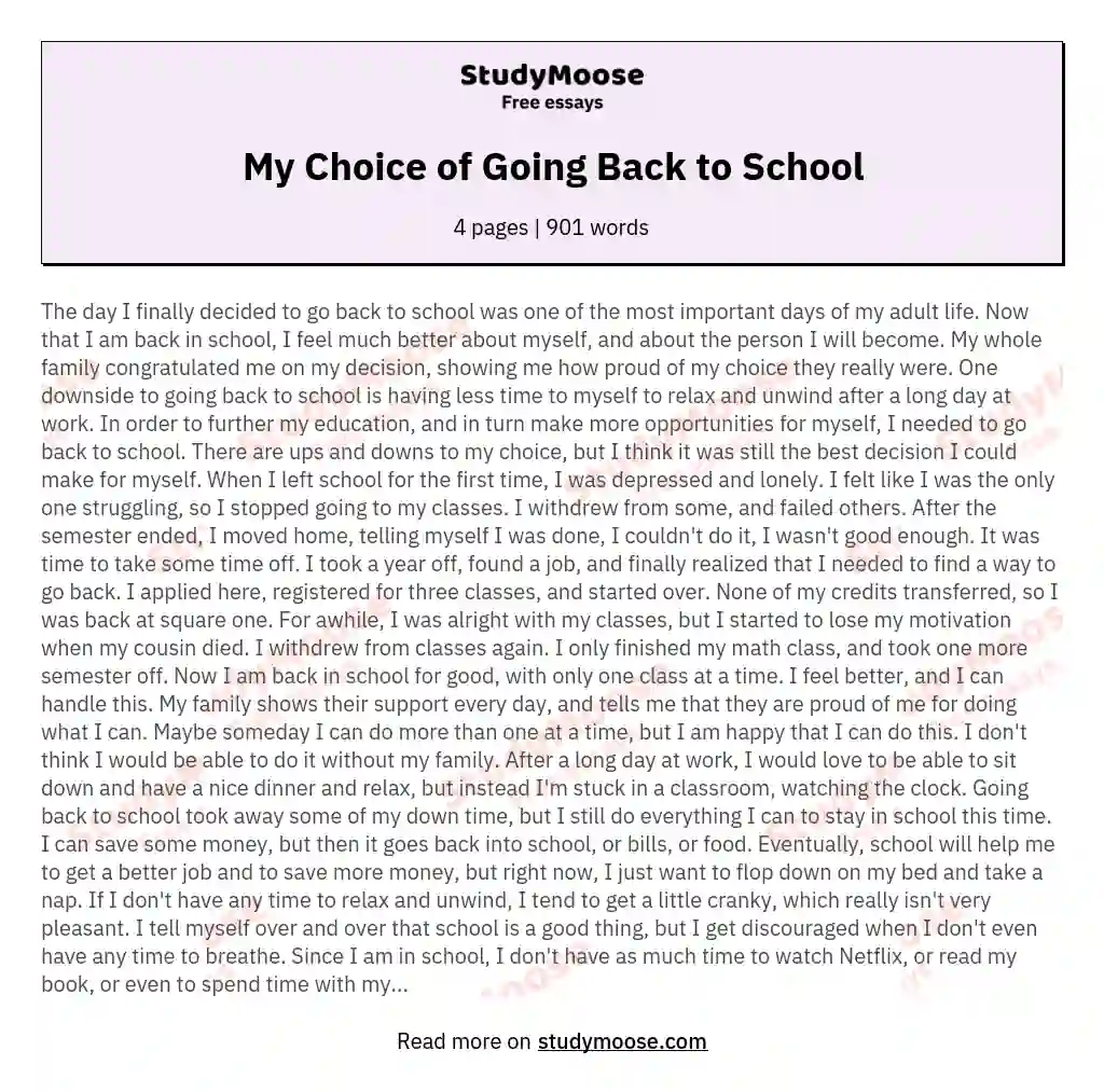My Choice of Going Back to School essay