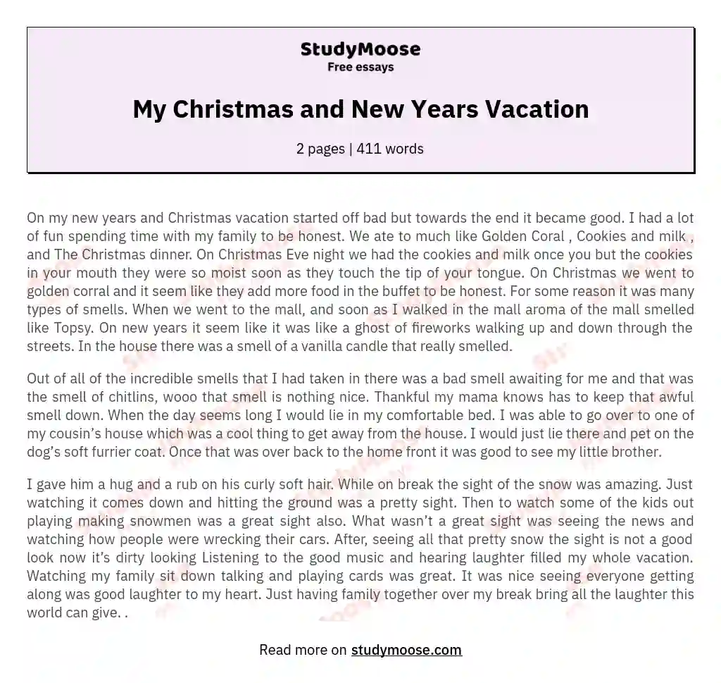 My Christmas and New Years Vacation essay