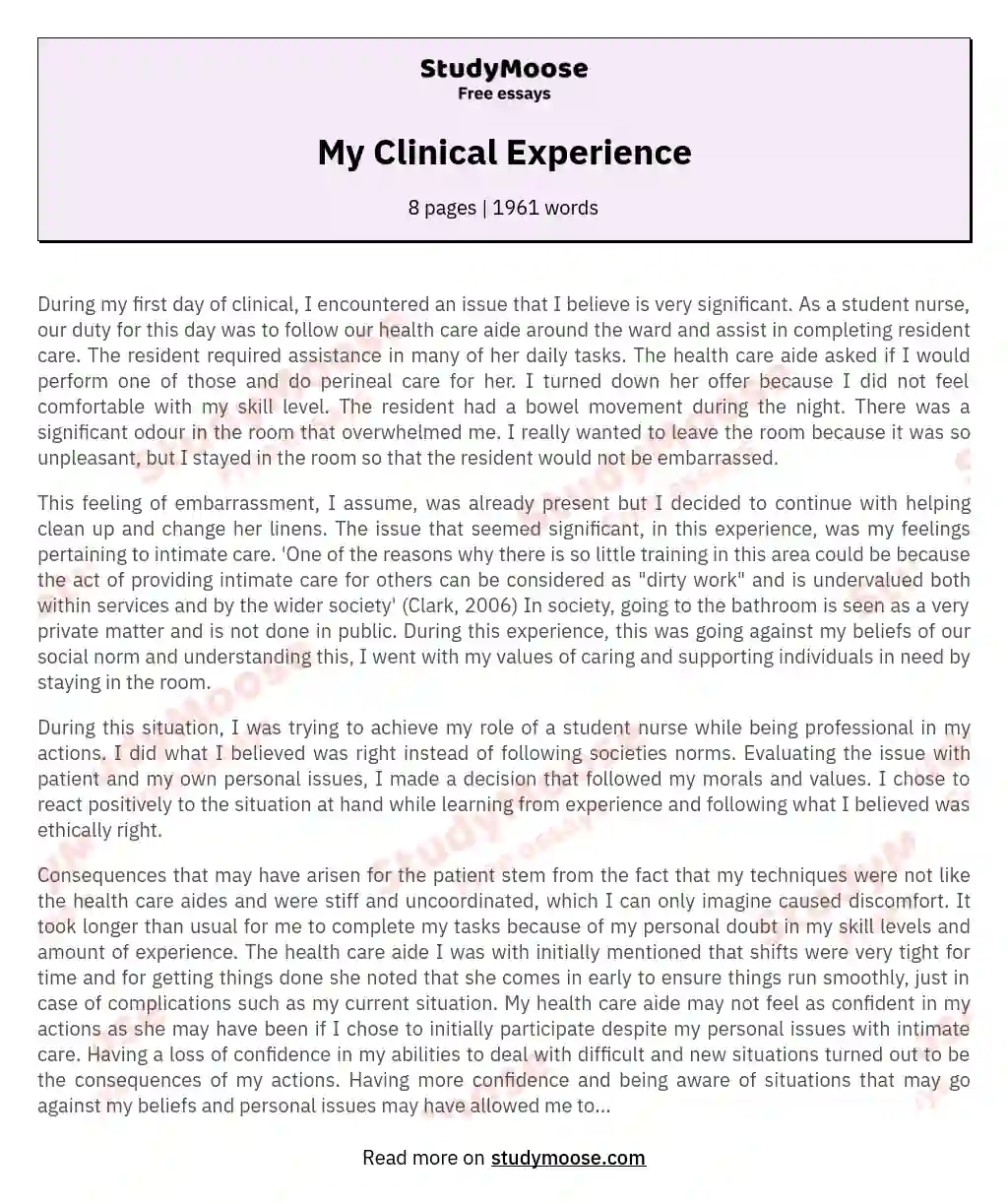My Clinical Experience essay