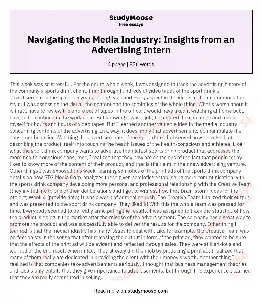 Navigating the Media Industry: Insights from an Advertising Intern essay