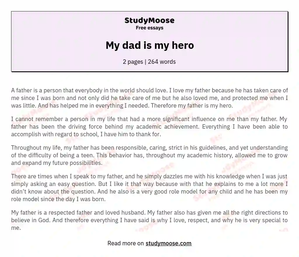 My dad is my hero essay