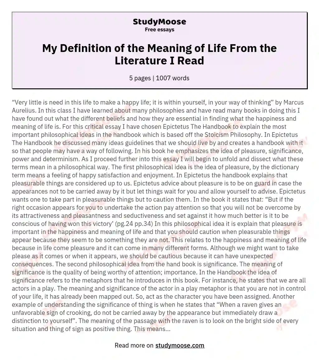 My Definition of the Meaning of Life From the Literature I Read essay