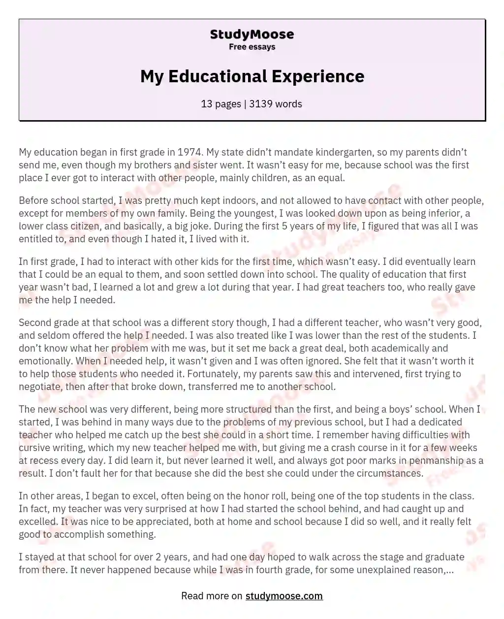 My Educational Experience essay