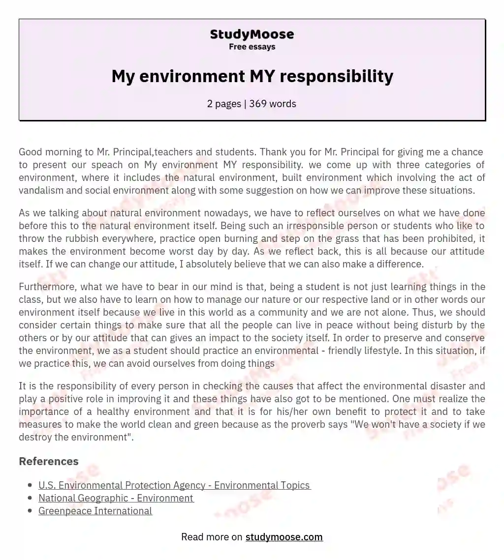 My environment MY responsibility essay