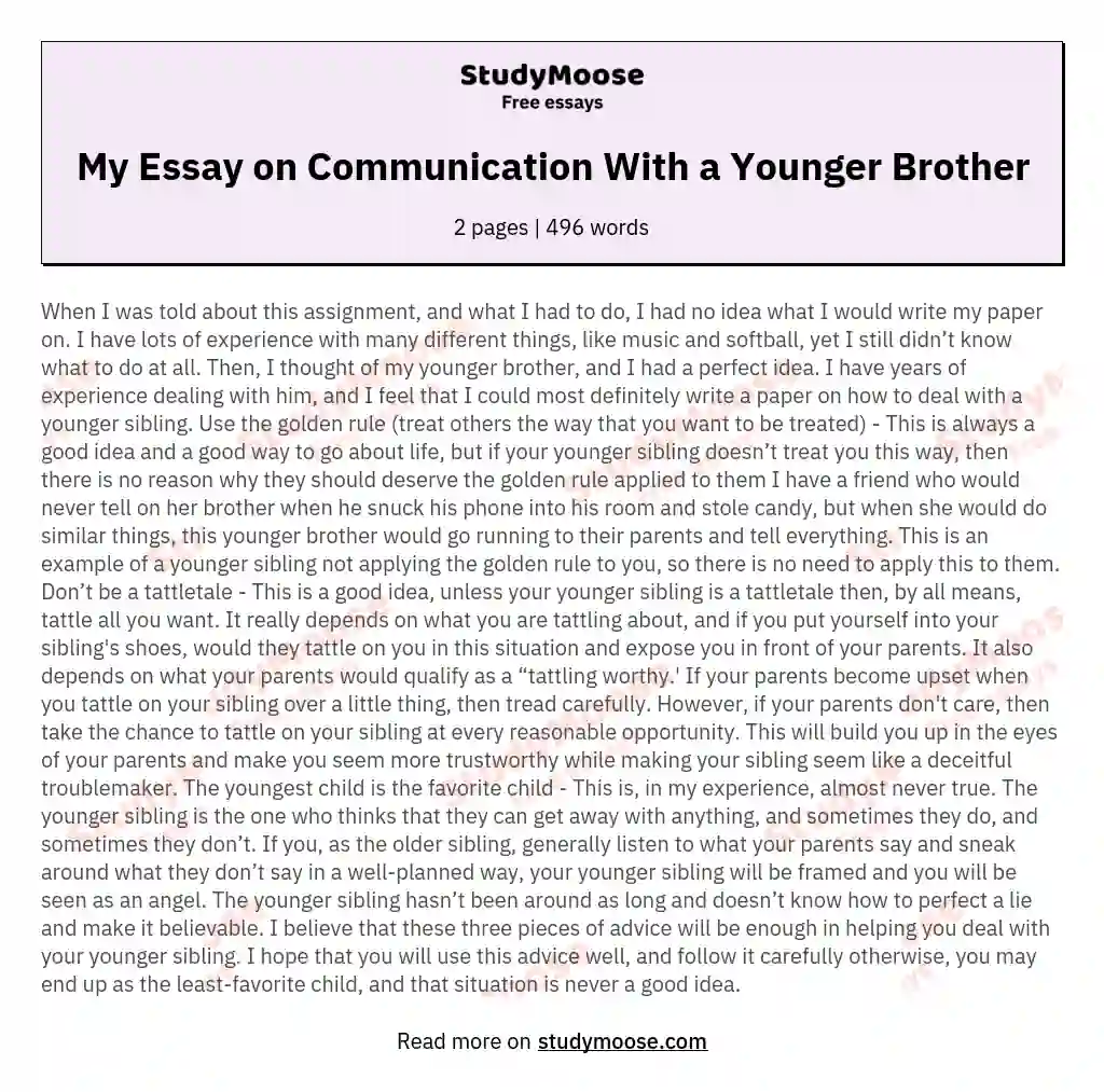 My Essay on Communication With a Younger Brother essay