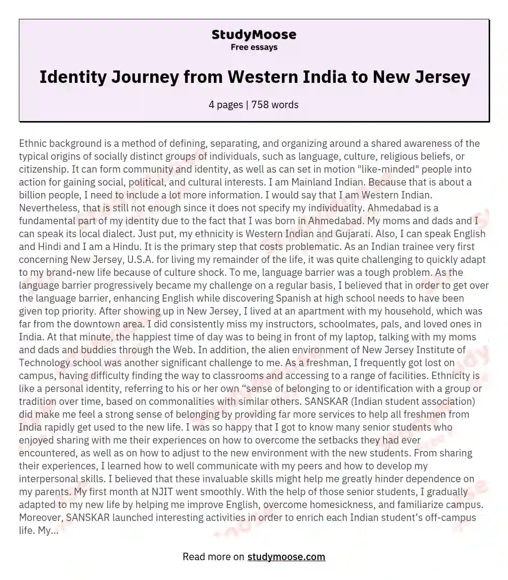 Identity Journey from Western India to New Jersey essay