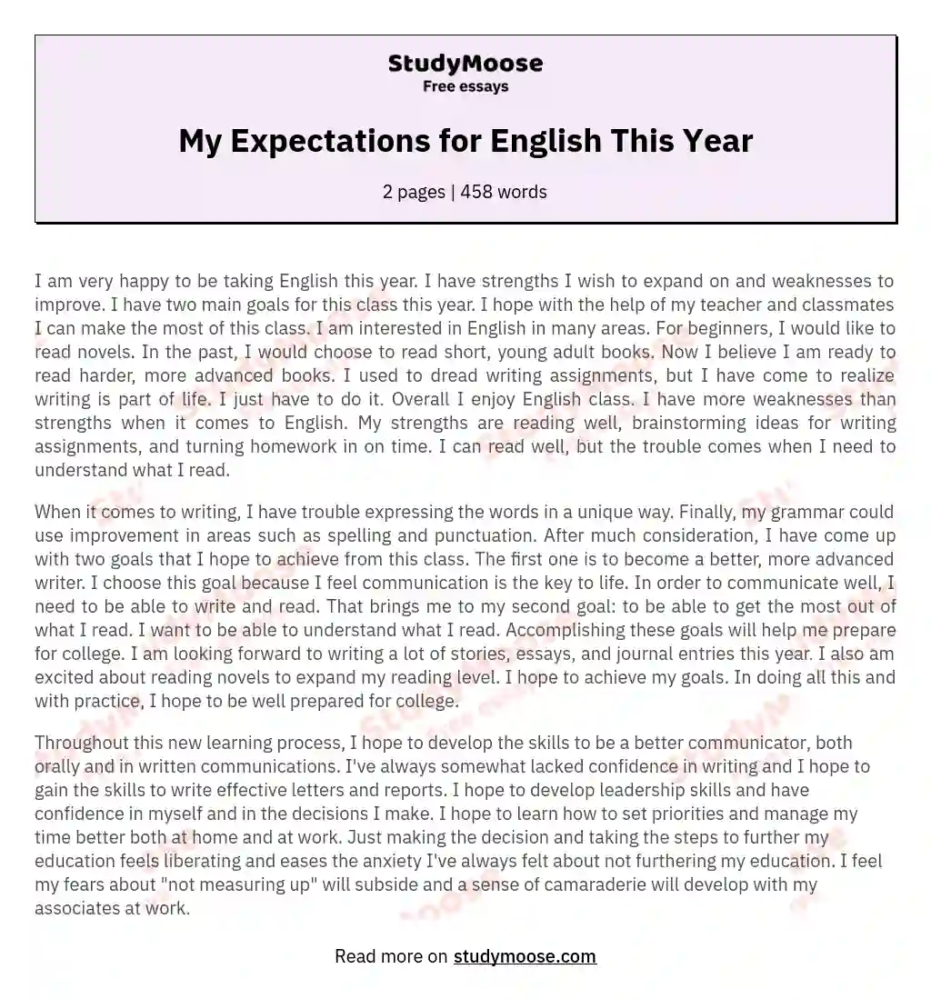My Expectations for English This Year essay