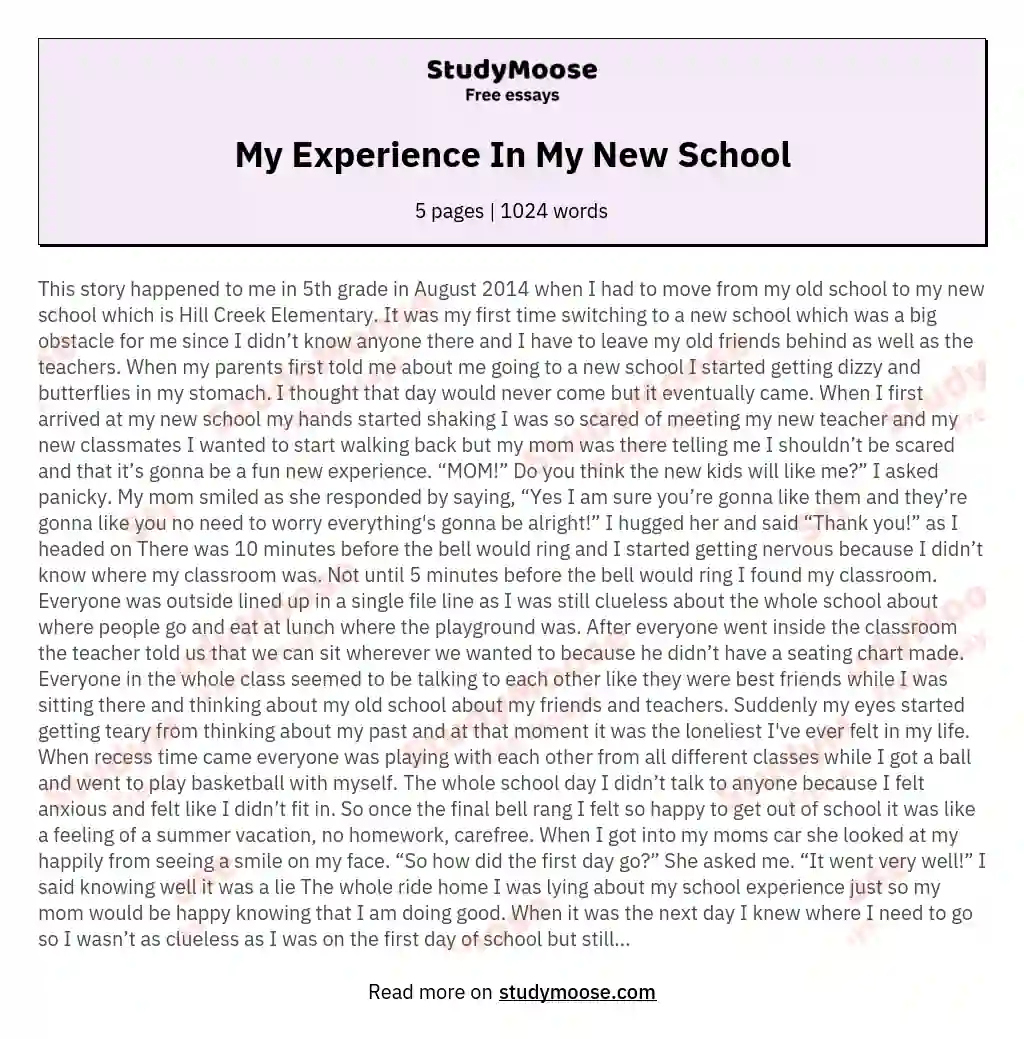essay about elementary school experience