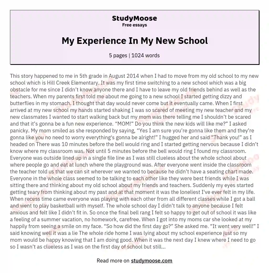 My Experience In School As A Student Speech Shop Authentic Brunofuga 