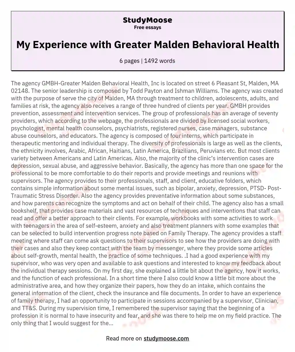 My Experience with Greater Malden Behavioral Health essay