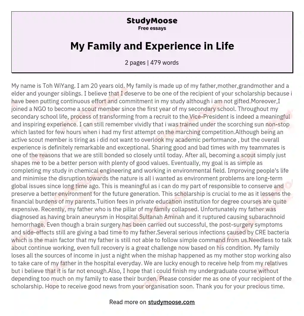 My Family and Experience in Life essay