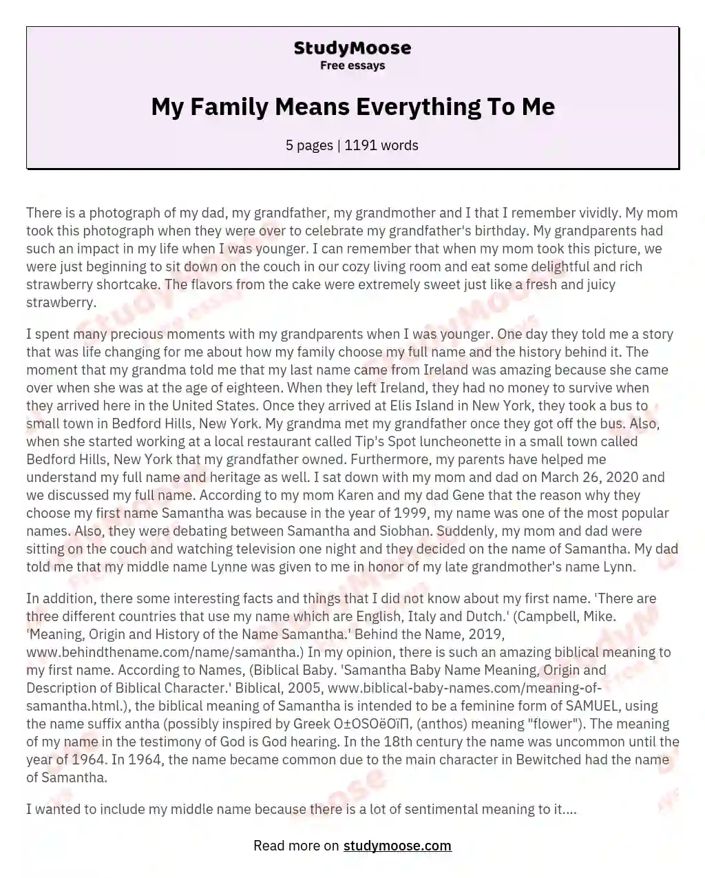 My Family Means Everything To Me essay