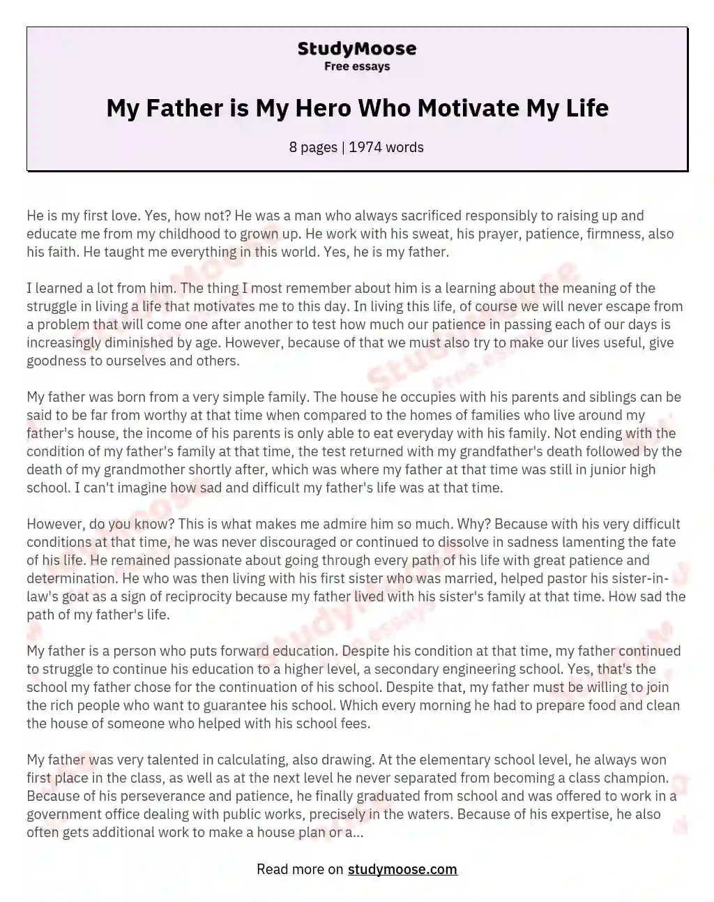 My Father is My Hero Who Motivate My Life essay