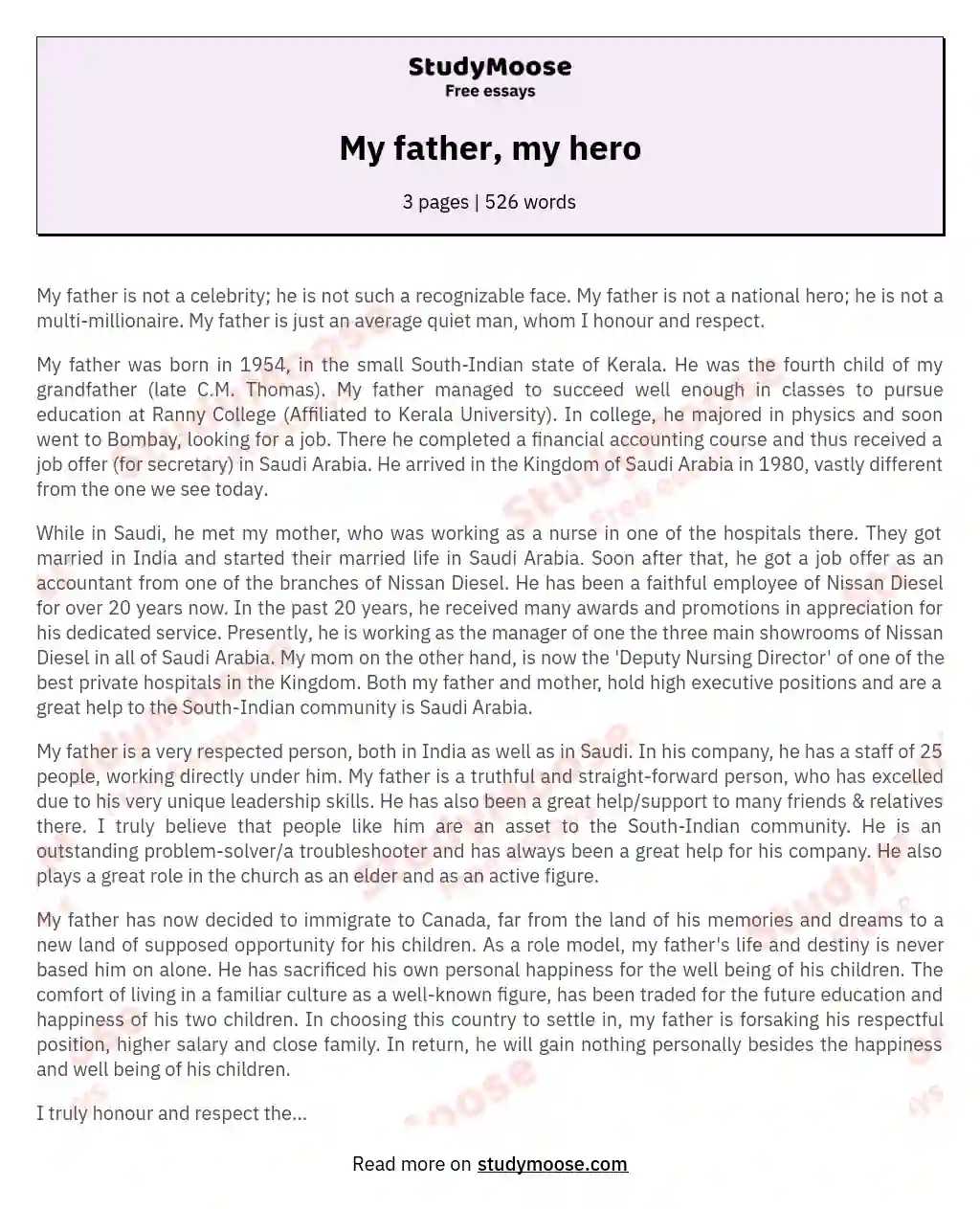 My father, my hero essay