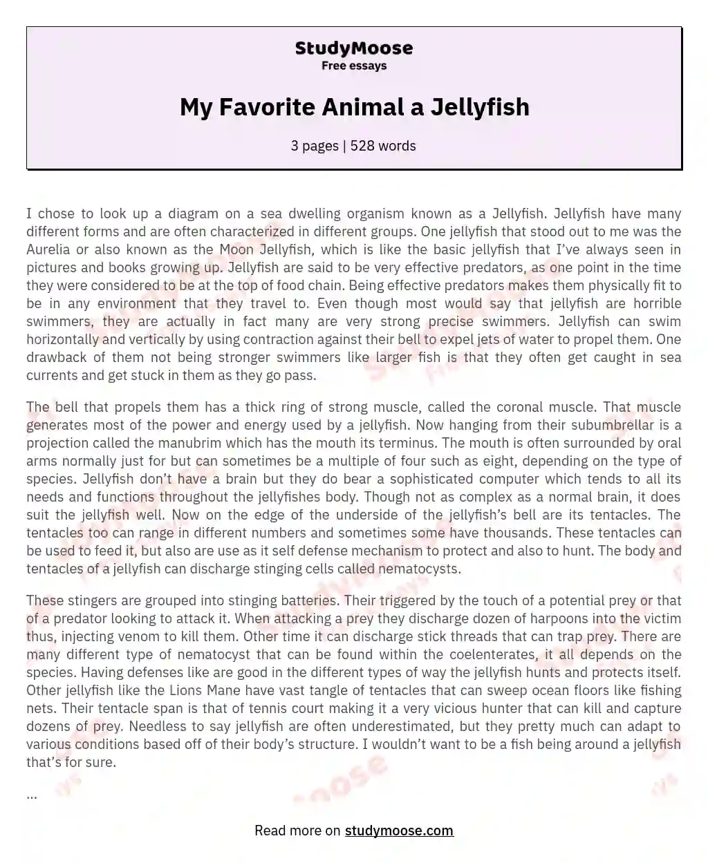 My Favorite Animal a Jellyfish Free Essay Example