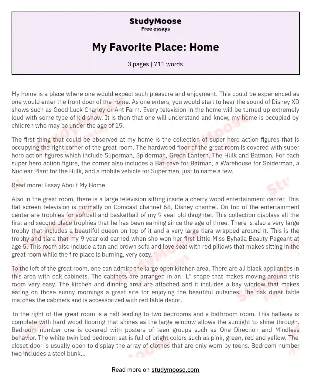 My Favorite Place: Home essay