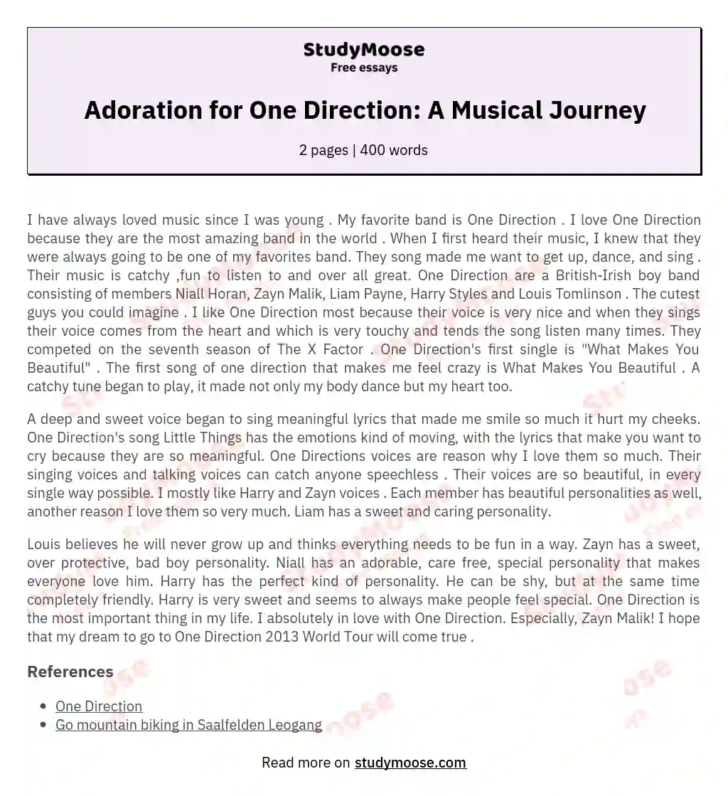 Adoration for One Direction: A Musical Journey essay