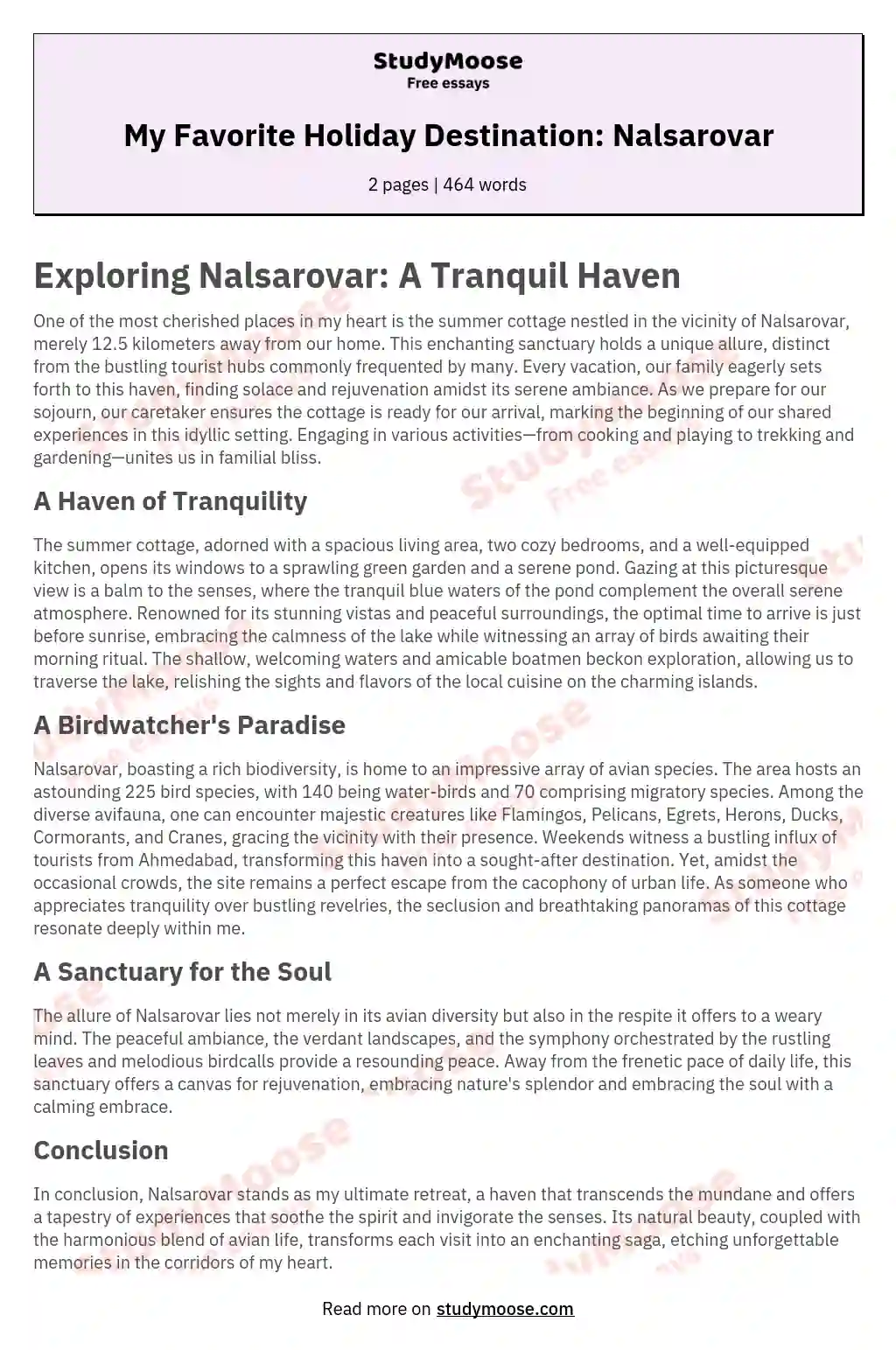 My Favorite Holiday Destination: Nalsarovar essay