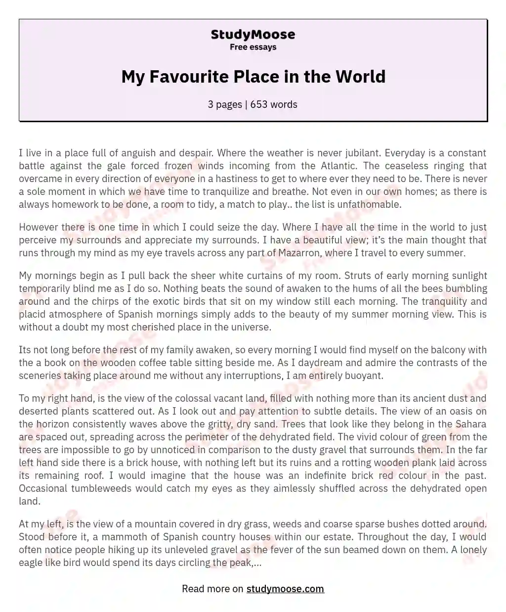 My Favourite Place in the World essay