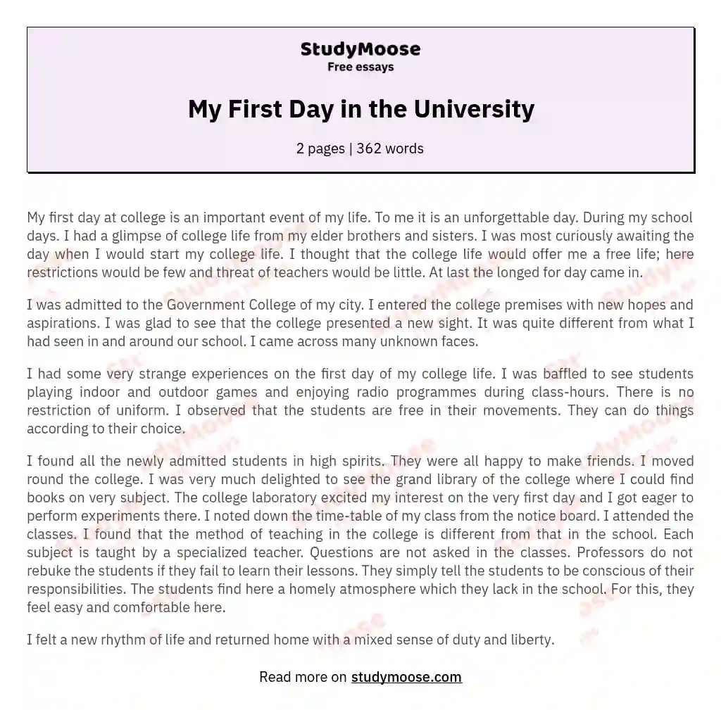 My First Day in the University essay