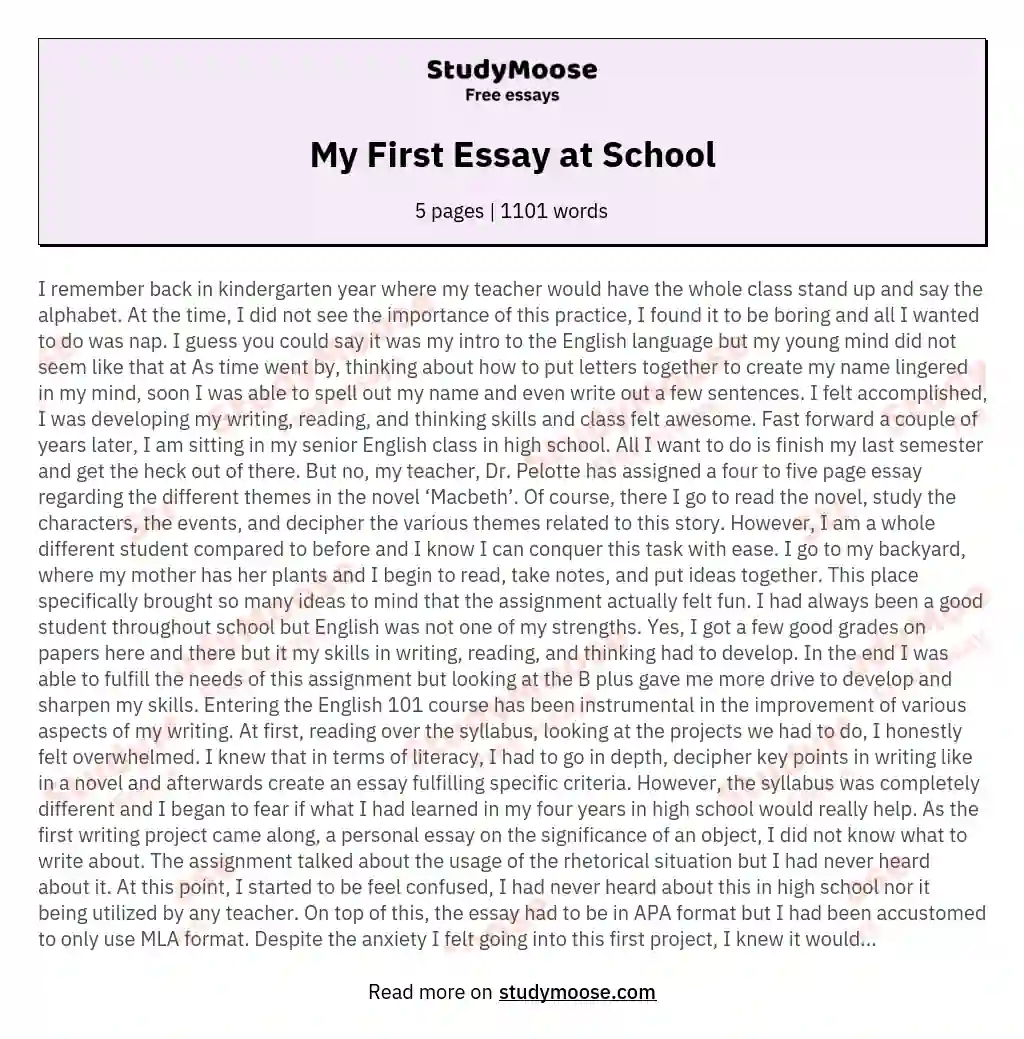 My First Essay at School essay