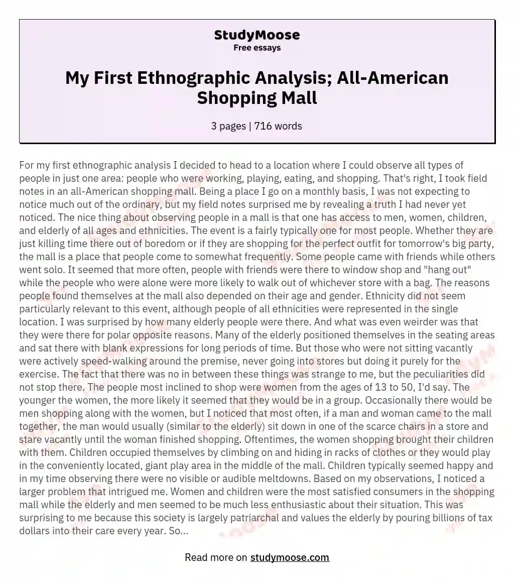 My First Ethnographic Analysis; All-American Shopping Mall essay