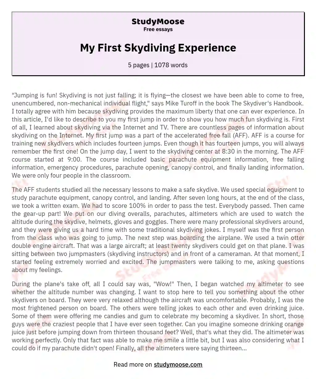 My First Skydiving Experience essay